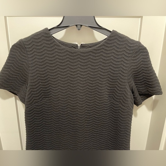 Calvin Klein fall shift dress - Picture 3 of 8